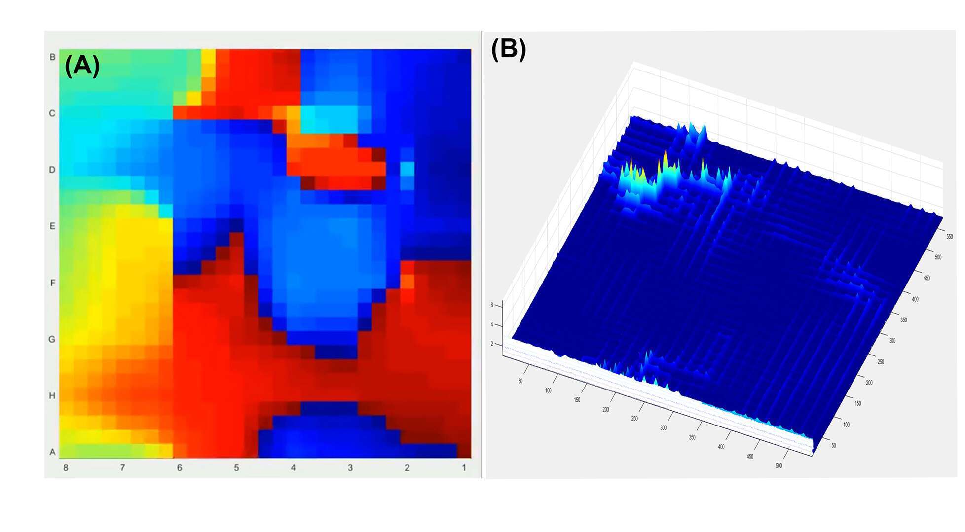 a.	One frame of the basket video b.	Line of average singular points during the video. 